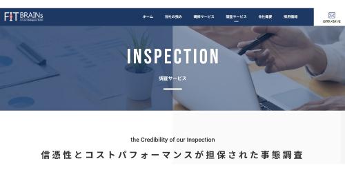 フィットブレインズ公式HPキャプチャ画像